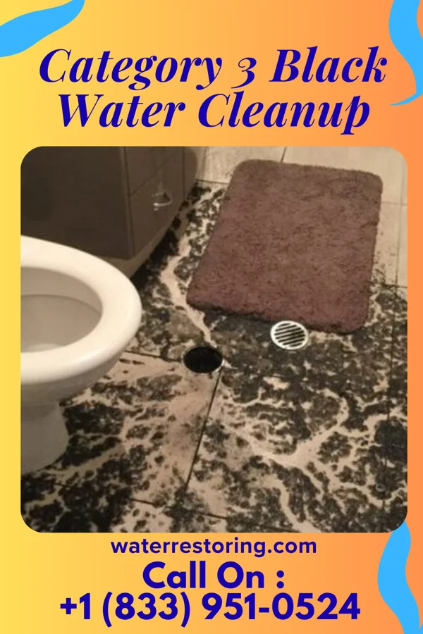 Category 3 Black Water Cleanup in Colfax, ND