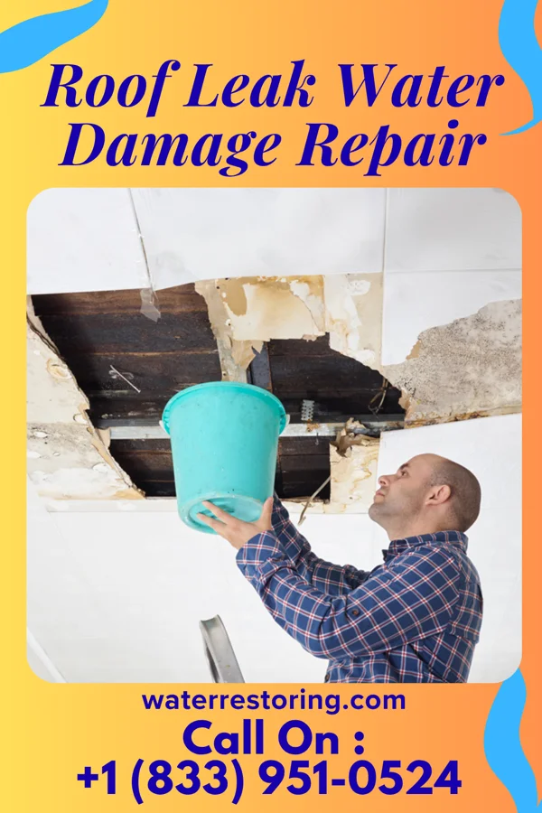 Roof Leak Water Damage Repair in Colfax, ND